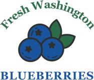 Blueberry Logo