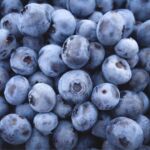 Washington Blueberries